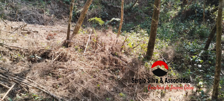 Imagem Terreno à Venda, 1 m² em Campos Do Jordão Imagem Terreno à Venda, 1 m² em Campos Do Jordão
