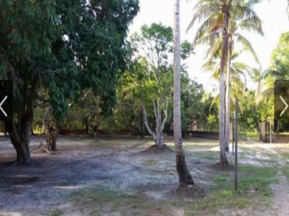 Imagem Chácara com 3 Quartos à Venda, 6.490 m² em Abrantes - Camaçari