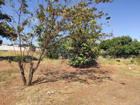 Imagem Terreno à Venda, 360 m² em Jardim Mansur - Campo Grande