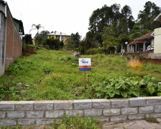 Imagem Imóvel à Venda, 984 m² em Logradouro - Nova Petrópolis