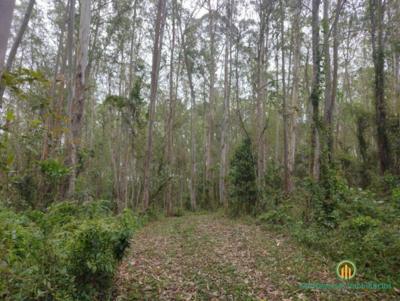 Imagem Terreno à Venda, 96.800 m² em Jardim Museu - Cotia Imagem Terreno à Venda, 96.800 m² em Jardim Museu - Cotia