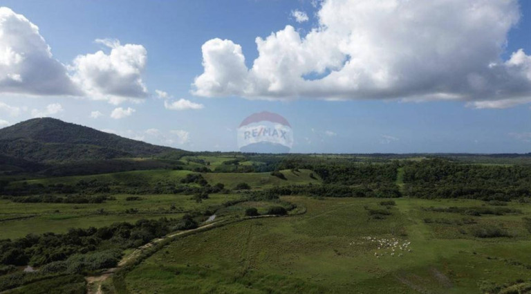 Imagem Fazenda à Venda, 1.449.875 m² em Zona Rural - Anchieta Imagem Fazenda à Venda, 1.449.875 m² em Zona Rural - Anchieta