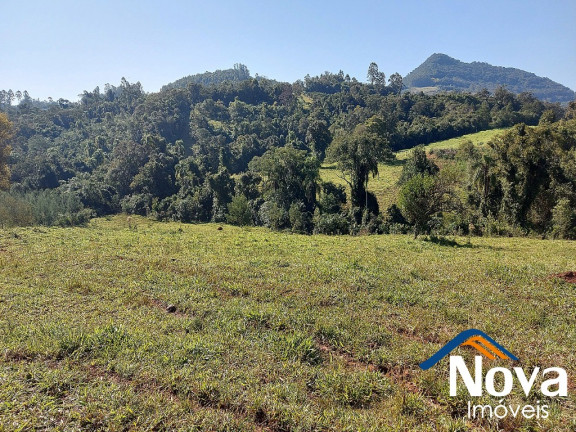 Imagem Imóvel à Venda, em Arroio Bonito - São José Do Hortêncio Imagem Imóvel à Venda, em Arroio Bonito - São José Do Hortêncio