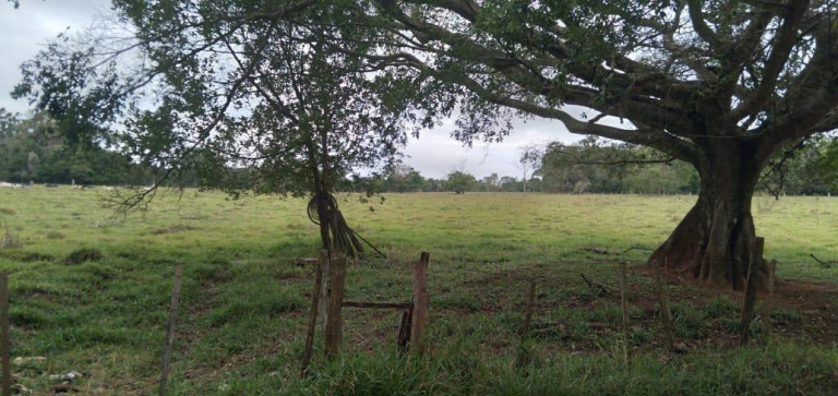 Imagem Chácara à Venda, 9 m² em Area Rural De Avaré - Avaré