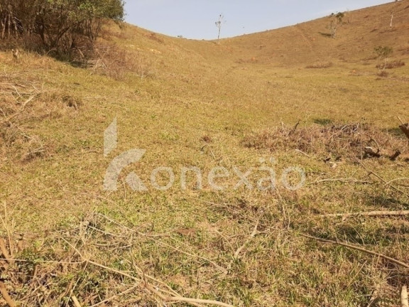 Imagem Chácara com 3 Quartos à Venda, 200 m² em Sao Germano - Paraibuna Imagem Chácara com 3 Quartos à Venda, 200 m² em Sao Germano - Paraibuna