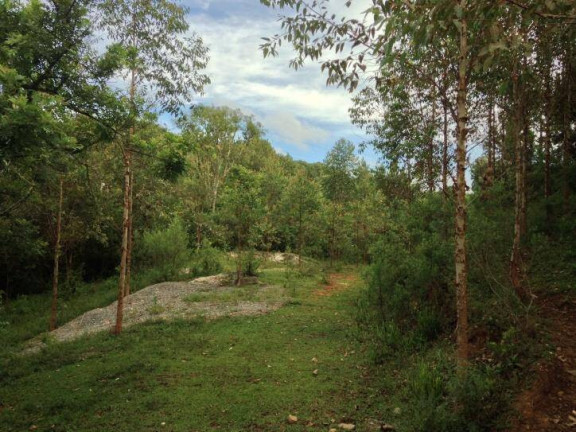 Imagem Terreno à Venda, 80 m² em Santa Felicidade - Curitiba Imagem Terreno à Venda, 80 m² em Santa Felicidade - Curitiba