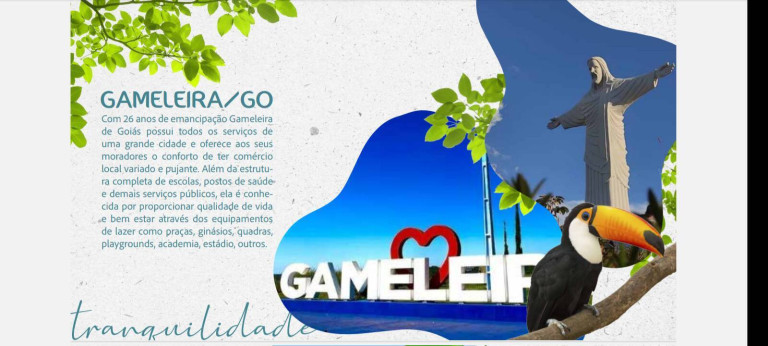 Imagem Chácara com 2 Quartos à Venda, 24.000 m² em Gameleira De Goiás