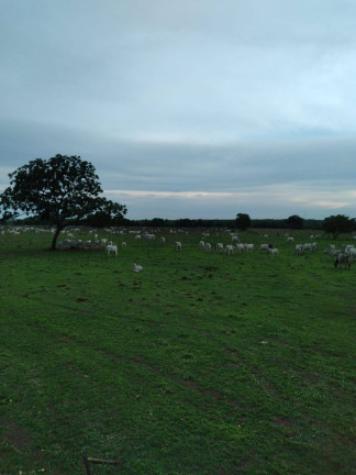 Imagem Fazenda à Venda, 1.100 m² em Zona Rural - Jangada