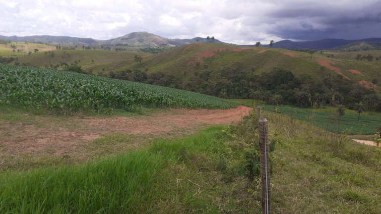 Imagem Fazenda à Venda, 1.950 m² em Centro - Córrego Danta Imagem Fazenda à Venda, 1.950 m² em Centro - Córrego Danta