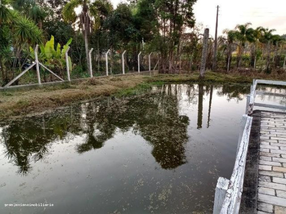 Imagem Chácara à Venda, 3.007 m² em Consultar - Ibiúna