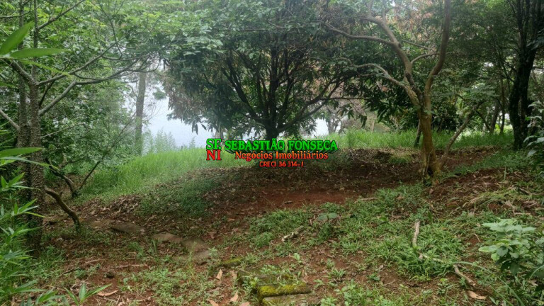 Imagem Chácara com 2 Quartos à Venda, 3.000 m² em Mirante Da Serra - Igaratá Imagem Chácara com 2 Quartos à Venda, 3.000 m² em Mirante Da Serra - Igaratá