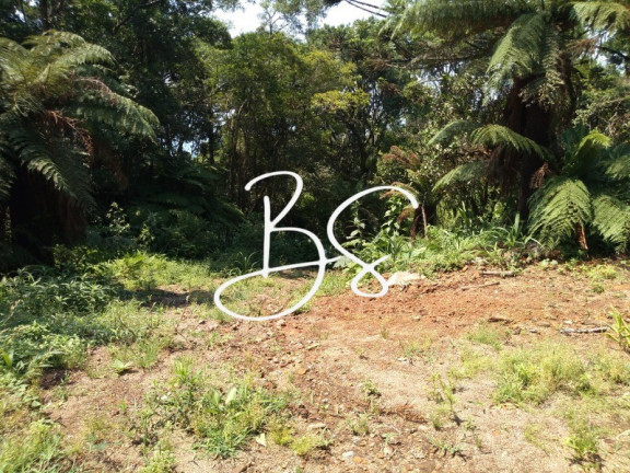 Imagem Imóvel à Venda, 1.000 m² em Serra Grande - Igrejinha