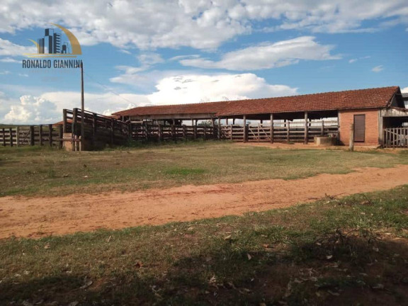 Imagem Fazenda à Venda, 15.294.400 m² em Centro - Assis Imagem Fazenda à Venda, 15.294.400 m² em Centro - Assis