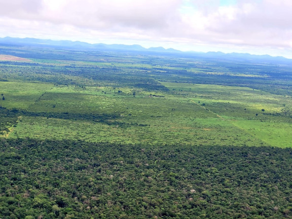 Imóvel à Venda,  em Santana Do Araguaia/pa - Novo Progresso