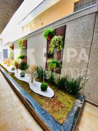 Imagem Apartamento com 1 Quarto à Venda, 33 m² em Parada Inglesa - São Paulo
