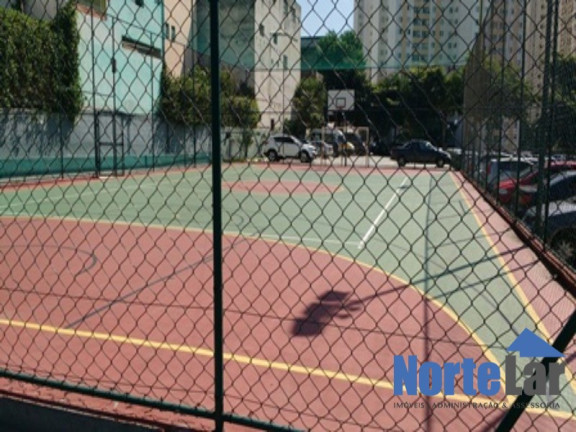Imagem Apartamento com 3 Quartos à Venda, 64 m² em Vila Nova Cachoeirinha - São Paulo