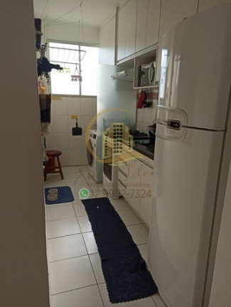 Imagem Apartamento com 2 Quartos à Venda, 47 m² em Residencial Ana Célia - São José Do Rio Preto Imagem Apartamento com 2 Quartos à Venda, 47 m² em Residencial Ana Célia - São José Do Rio Preto