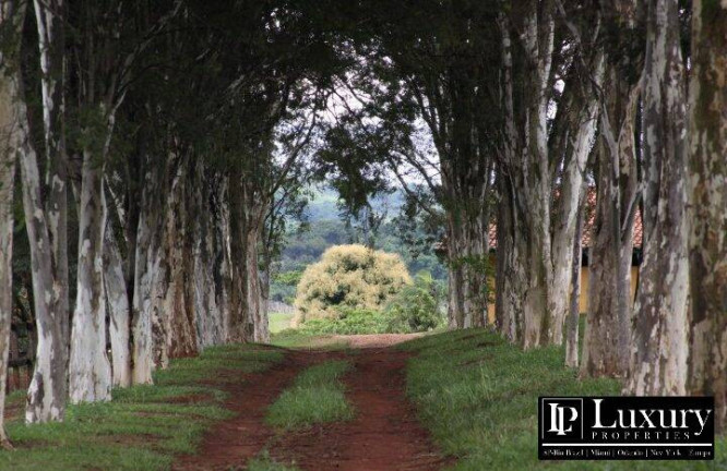 Imagem Chácara com 8 Quartos à Venda, em Centro - Santo Antônio De Posse Imagem Chácara com 8 Quartos à Venda, em Centro - Santo Antônio De Posse