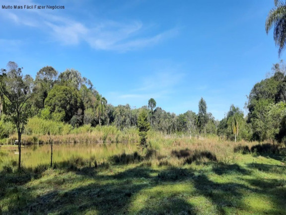 Imagem Terreno à Venda, 1 m² em Br 116 - Nova Petrópolis Imagem Terreno à Venda, 1 m² em Br 116 - Nova Petrópolis