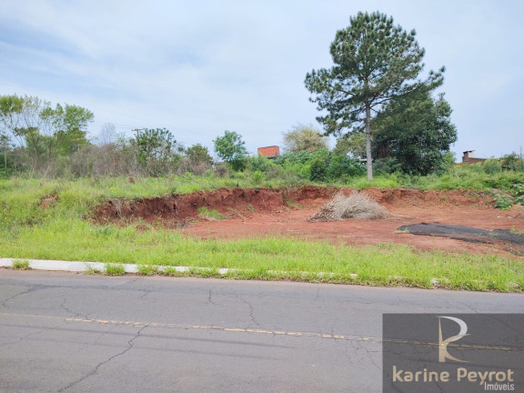 Imagem Terreno à Venda, 785 m² em Campestre - São Leopoldo Imagem Terreno à Venda, 785 m² em Campestre - São Leopoldo