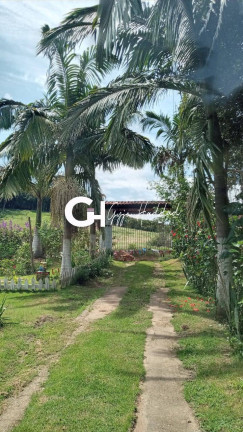 Imagem Chácara com 5 Quartos à Venda, 7.000 m² em Vila Elvio - Piedade