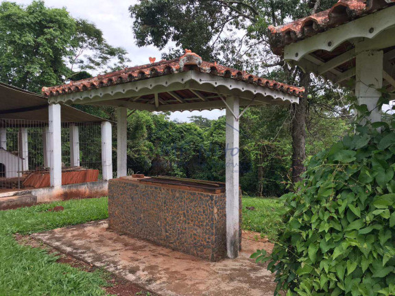 Imagem Fazenda à Venda, 60.000 m² em Cachoeira De Emas - Pirassununga Imagem Fazenda à Venda, 60.000 m² em Cachoeira De Emas - Pirassununga