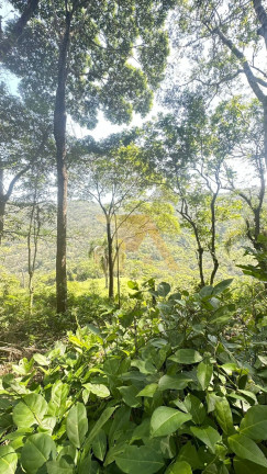 Imagem Terreno à Venda, em Encantada - Garopaba Imagem Terreno à Venda, em Encantada - Garopaba