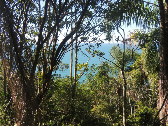 Imagem Terreno à Venda, 16.948 m² em Praia Da Ferrugem - Garopaba Imagem Terreno à Venda, 16.948 m² em Praia Da Ferrugem - Garopaba