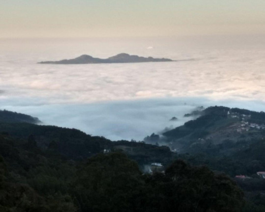 Imagem Imóvel com 4 Quartos à Venda,  em Centro - Morro Reuter