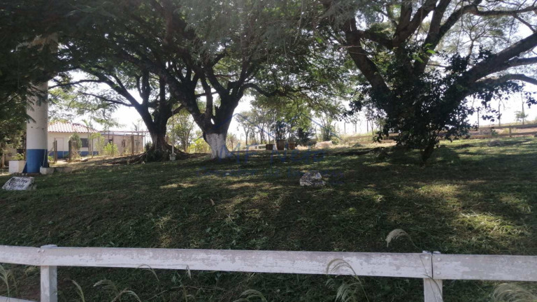 Imagem Fazenda à Venda, 22 m² em Roque - Pirassununga Imagem Fazenda à Venda, 22 m² em Roque - Pirassununga