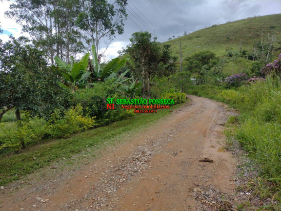 Imagem Chácara à Venda, 4.600 m² em São João - São José Dos Campos Imagem Chácara à Venda, 4.600 m² em São João - São José Dos Campos