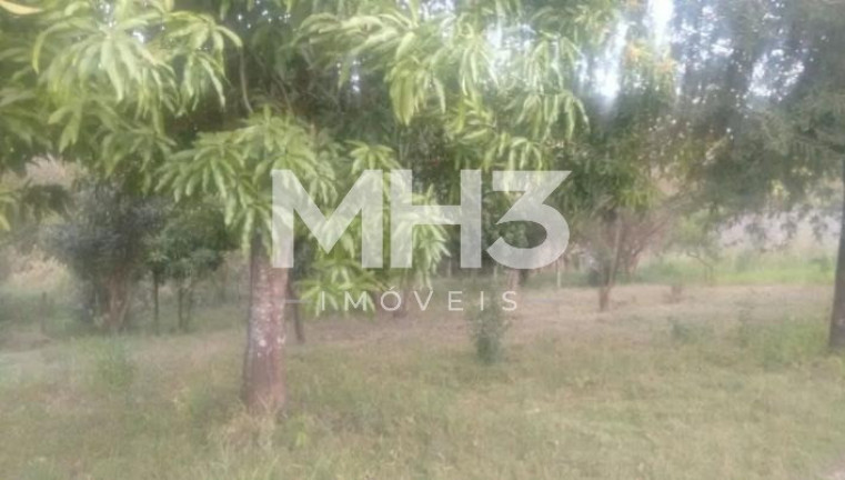 Imagem Imóvel com 3 Quartos à Venda, 200 m² em Iate Clube De Campinas - Americana Imagem Imóvel com 3 Quartos à Venda, 200 m² em Iate Clube De Campinas - Americana