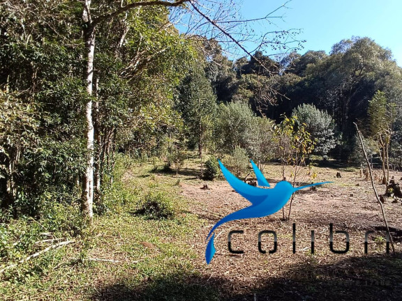 Imagem Chácara com 2 Quartos à Venda, 6.000 m² em Palmital - Agudos Do Sul