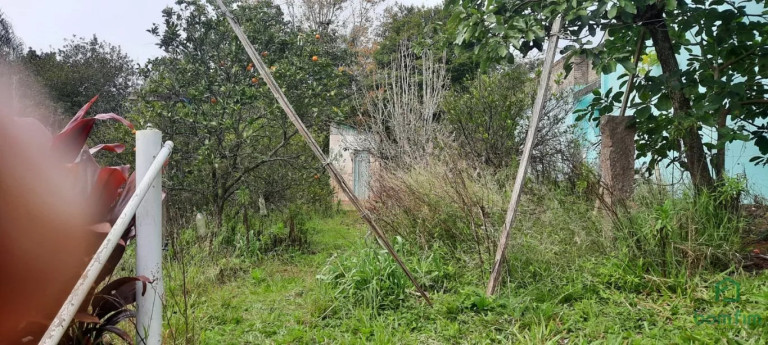 Imagem Casa com 3 Quartos à Venda, 300 m² em Vila Nova - Porto Alegre