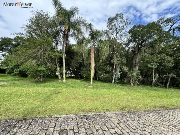 Imagem Terreno à Venda, 2.500 m² em Campo Largo Da Roseira - São José Dos Pinhais Imagem Terreno à Venda, 2.500 m² em Campo Largo Da Roseira - São José Dos Pinhais