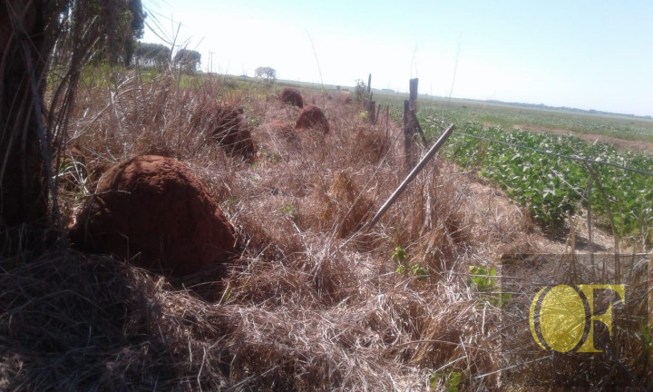 Imagem Fazenda à Venda, 793 m² em Rural - Ivinhema Imagem Fazenda à Venda, 793 m² em Rural - Ivinhema