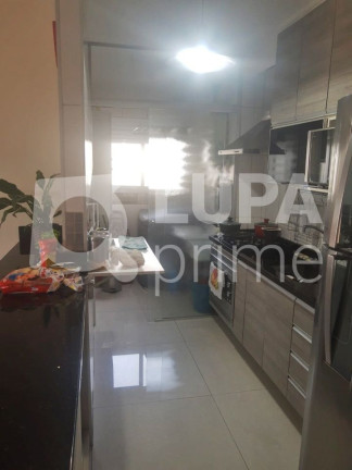 Imagem Apartamento com 3 Quartos à Venda, 65 m² em Vila Maria Alta - São Paulo Imagem Apartamento com 3 Quartos à Venda, 65 m² em Vila Maria Alta - São Paulo