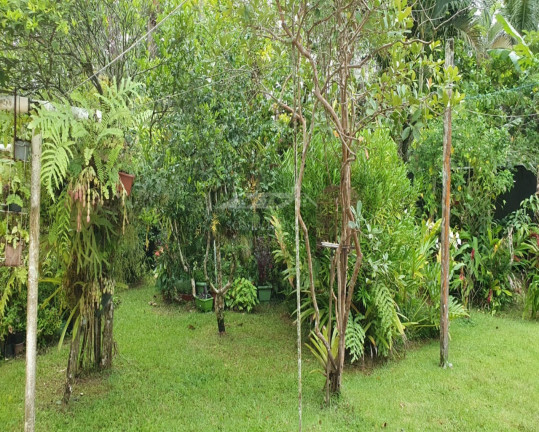 Imagem Casa com 4 Quartos à Venda, 360 m² em Bertioga - Bertioga