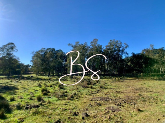 Imagem Imóvel com 2 Quartos à Venda, 40.000 m² em Serra Grande - Gramado