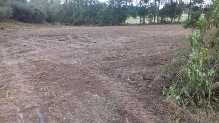 Imagem Imóvel com 1 Quarto à Venda, 8.177 m² em Tijuco Preto - Quadra