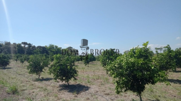 Imagem Fazenda à Venda, 555.000 m² em Sao Vicente - Araruama Imagem Fazenda à Venda, 555.000 m² em Sao Vicente - Araruama