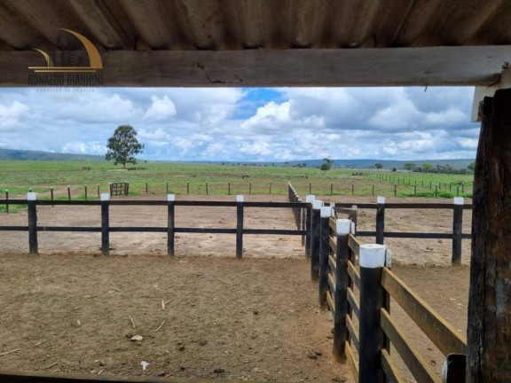 Imagem Fazenda à Venda, 31.860.000 m² em Zona Rural - Capelinha Imagem Fazenda à Venda, 31.860.000 m² em Zona Rural - Capelinha