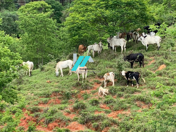 Imagem Fazenda à Venda, 30 m² em Azurita - Mateus Leme Imagem Fazenda à Venda, 30 m² em Azurita - Mateus Leme