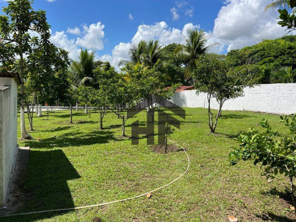 Imagem Chácara com 5 Quartos à Venda, 10.000 m² em Chã De Onça - Paudalho