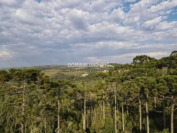 Imagem Imóvel à Venda, em Região Do Alto Do Capivari - Campos Do Jordão Imagem Imóvel à Venda, em Região Do Alto Do Capivari - Campos Do Jordão