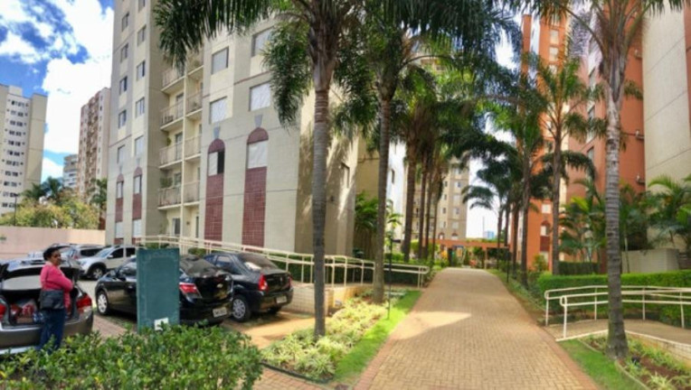 Imagem Apartamento com 3 Quartos à Venda, 61 m² em Cambuci - São Paulo Imagem Apartamento com 3 Quartos à Venda, 61 m² em Cambuci - São Paulo