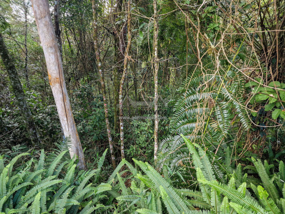 Imagem Terreno à Venda, 1 m² em Alto Capivari - Campos Do Jordão Imagem Terreno à Venda, 1 m² em Alto Capivari - Campos Do Jordão