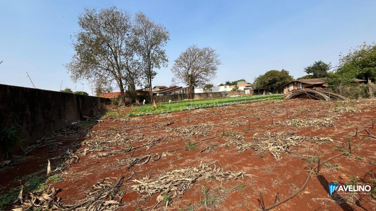 Imagem Imóvel com 1 Quarto à Venda, 5.750 m² em Conjunto Habitacional Izidro Pedroso - Dourados