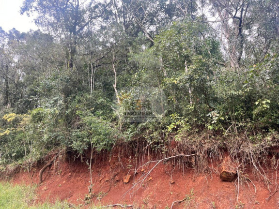 Imagem Terreno à Venda, 656 m² em Vale Verde - Nova Petrópolis Imagem Terreno à Venda, 656 m² em Vale Verde - Nova Petrópolis