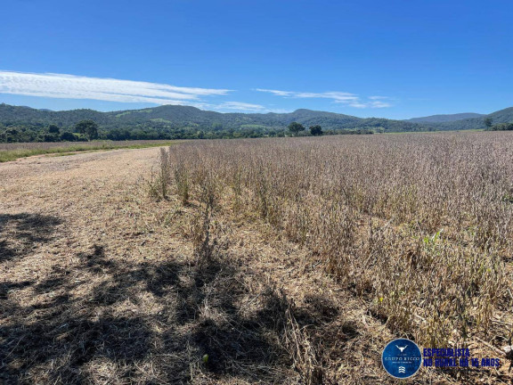 Imagem Fazenda à Venda, 62 m² em Zona Rural - São Francisco De Goiás Imagem Fazenda à Venda, 62 m² em Zona Rural - São Francisco De Goiás
